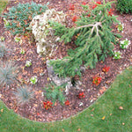 48 m (157.5-ft.) Professional Aluminum Garden Edging