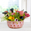 Assorted Calla Lily Collection
