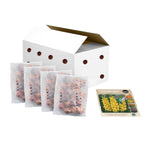 Hummingbird Garden Collection
