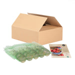 Deluxe Strawberry Plants, 5-plugs