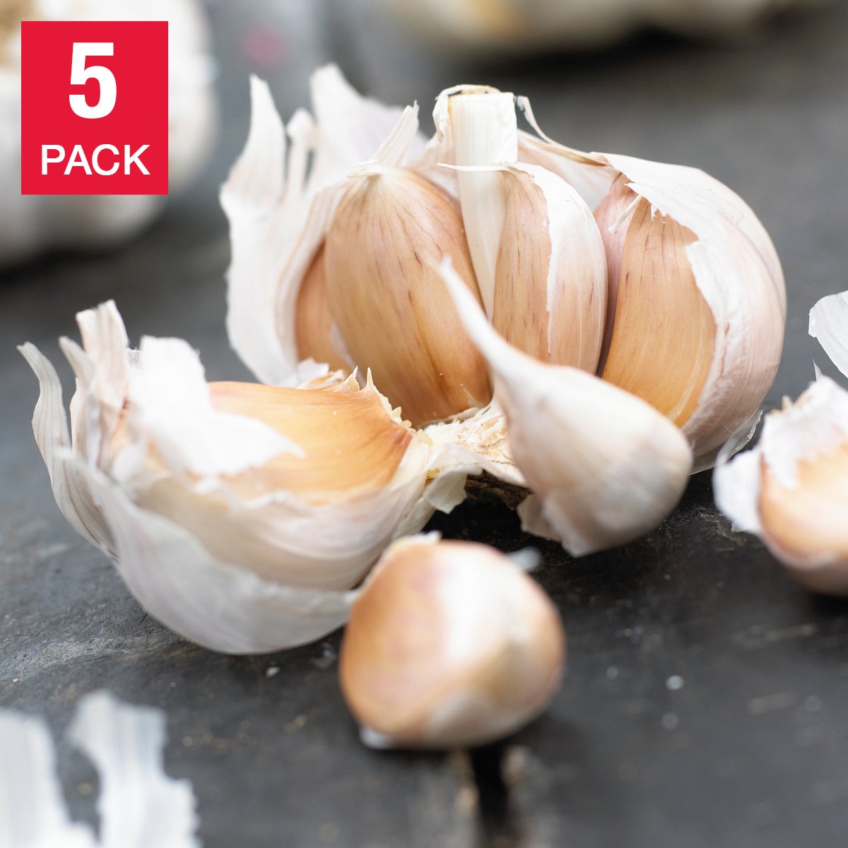 Over-Wintered Garlic – 5 plugs