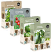 Salad Night Seed Plug Pack – 4 kits
