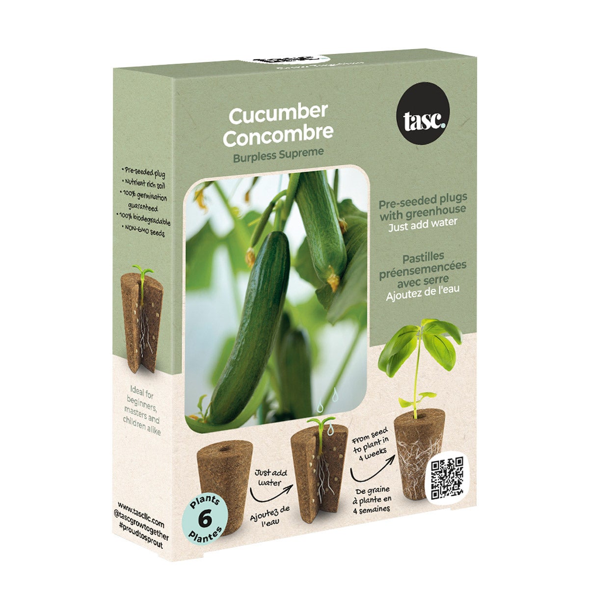 Salad Night Seed Plug Pack – 4 kits