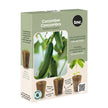 Salad Night Seed Plug Pack – 4 kits