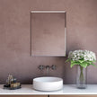 Appollo Kaden Modern 55.8 cm x 71 cm (22 in. x 28 in.) Rectangular Frameless Beveled Mirror