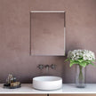Appollo Kaden Modern 55.8 cm x 71 cm (22 in. x 28 in.) Rectangular Frameless Beveled Mirror