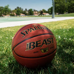 Spalding “The Beast” Basketball
