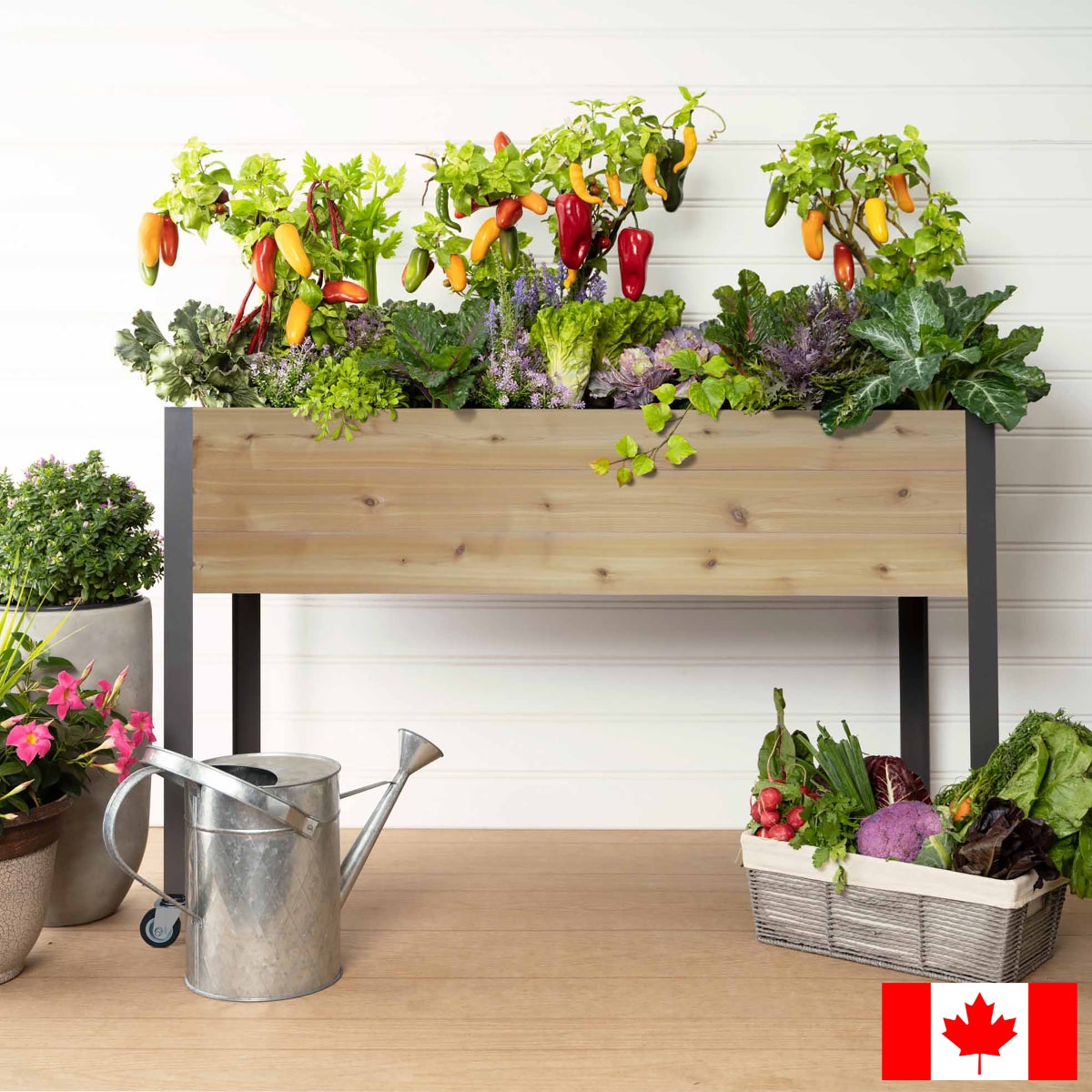 CedarCraft 81 cm (32 in.) Self-watering Elevated Cedar Planter