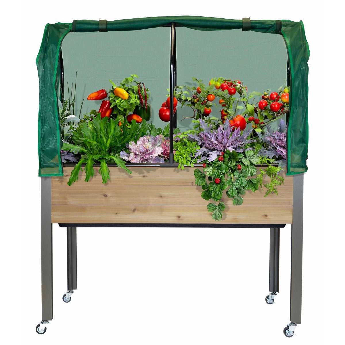 Self-Watering Elevated Cedar Planter With Greenhouse and Bug cover