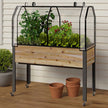 Self-Watering Elevated Cedar Planter With Greenhouse and Bug cover