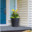 Terrace 20 50.8 cm (20 in.) Self-Watering Planter, 2 pack