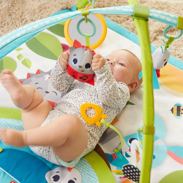 Tiny Love Meadow Days Collection Bundle