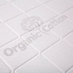 Springwall Campus 8 Queen RV Mattress