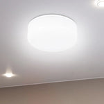 Luminus 30W LED Dimmable 8 in. Flush Mount Light Bulb E26 3000 Lumens 4000K, 2-pack