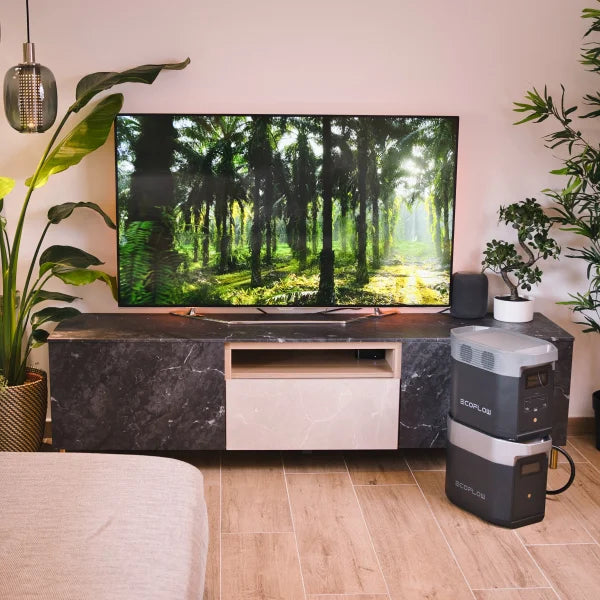 EcoFlow DELTA 2 and Extra Battery Bundle
