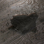 Golden Select Peppercorn 18.2 cm (7.17 in.) Rigid Core SPC Vinyl Flooring