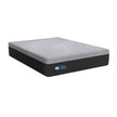 Sealy Posturepedic Luxury Hybrid 1100 Series Oceane Plush Mattress or Set