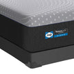 Sealy Posturepedic Luxury Hybrid 1100 Series Oceane Plush Mattress or Set