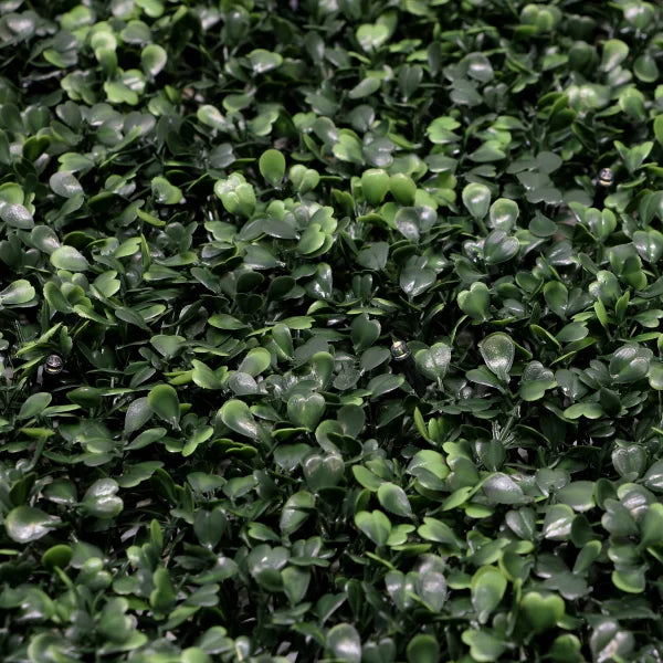 Golden Select Boxwood Artificial Hedge Panel with Lights - 4 Pack