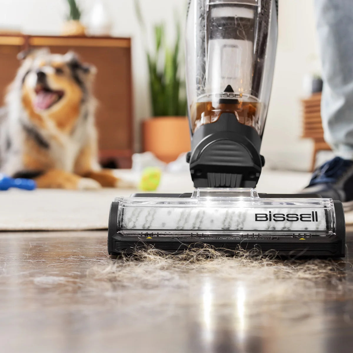 Bissell CrossWave HydroSteam Plus Multi-Surface Wet Dry Vac