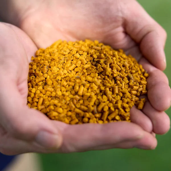 Scotts Turf Builder Green Max Weed & Feed 9-0-0 Corn Gluten Meal with Iron (1%)