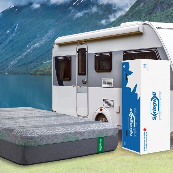 Springwall Chiropractic Green Hybrid 35.6 cm (14 in.) Queen RV Mattress