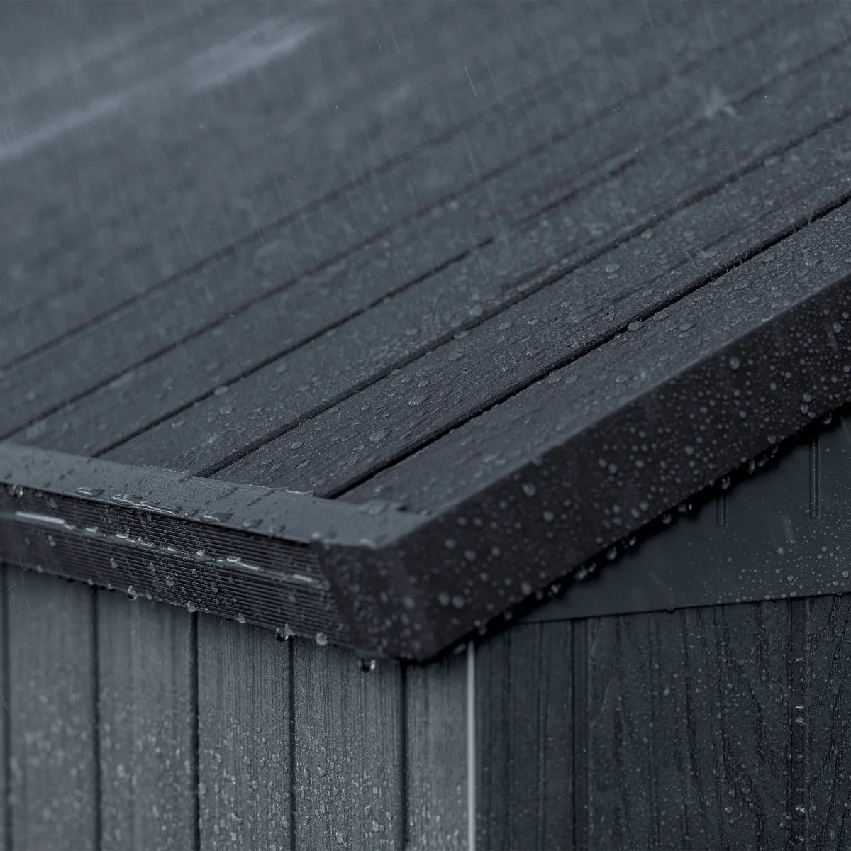 Keter Darwin 6 ft. x 8 ft. Shed