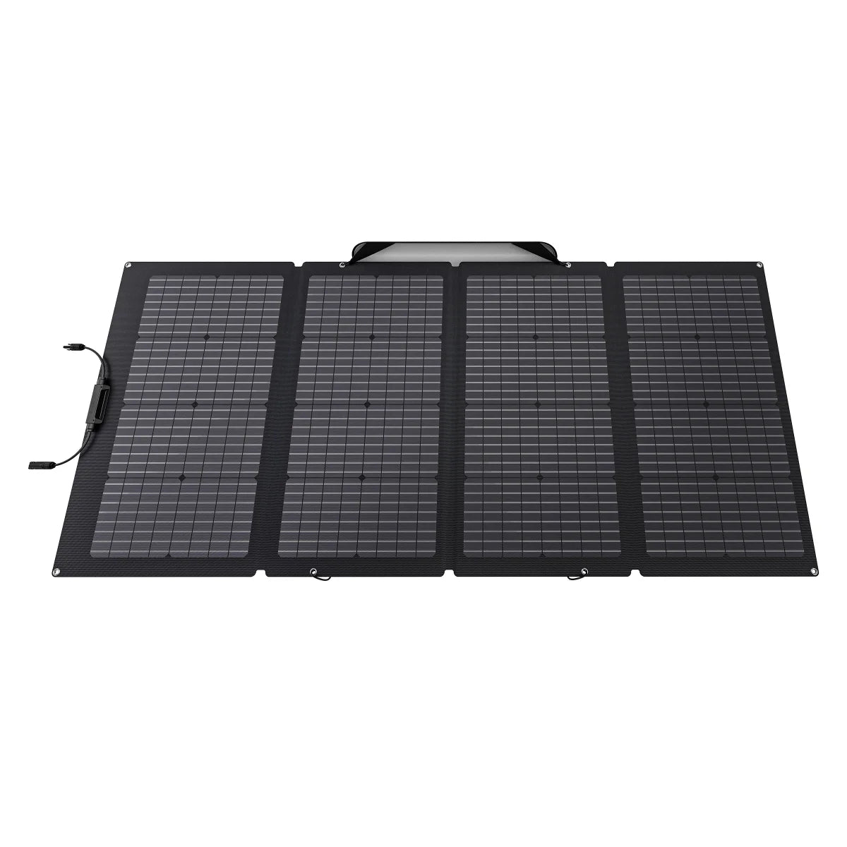 EcoFlow 220W Solar Panel