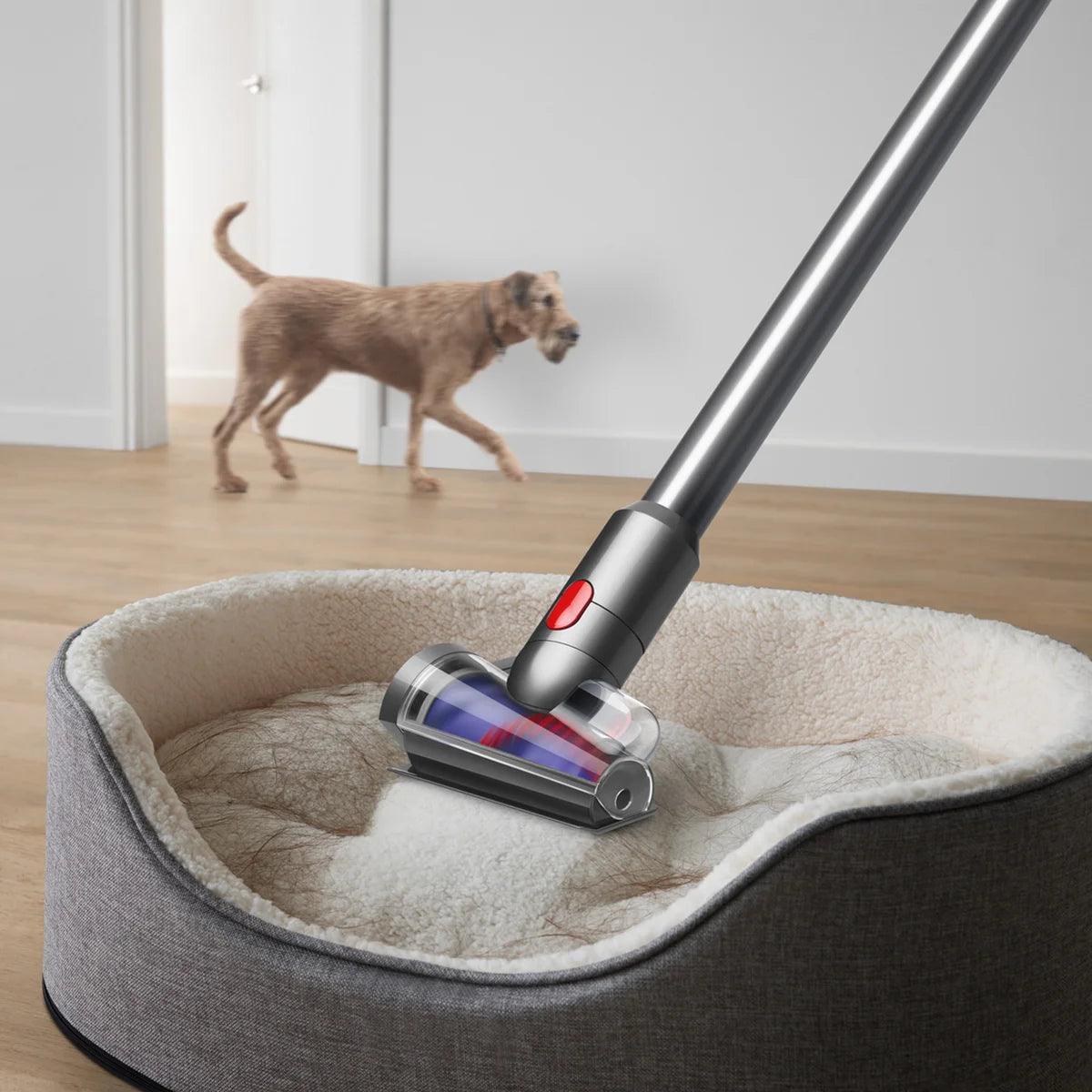 V12 Detect Slim Cordless Vacuum