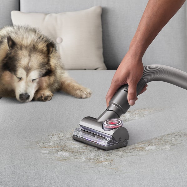 Dyson Ball Animal Total Clean Upright Vacuum