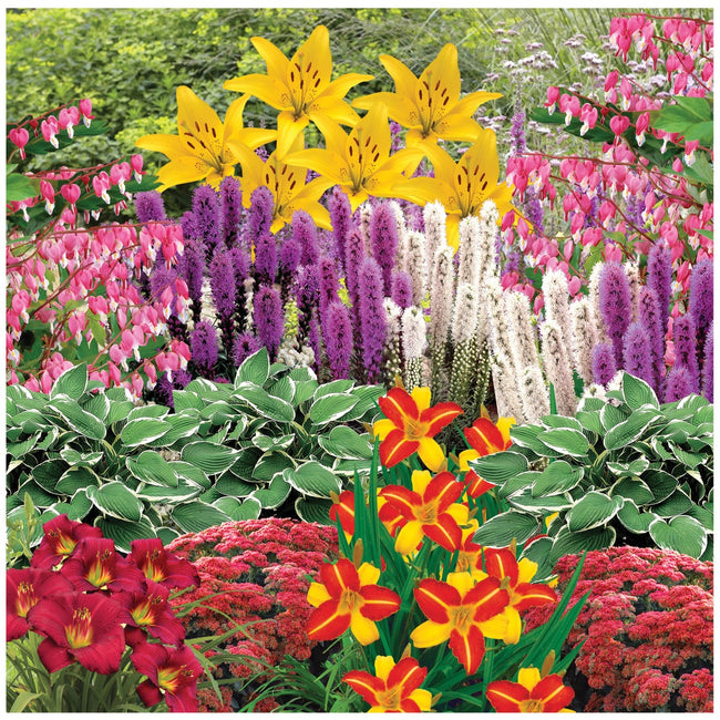 Horticana: Easy Peasy Perennials