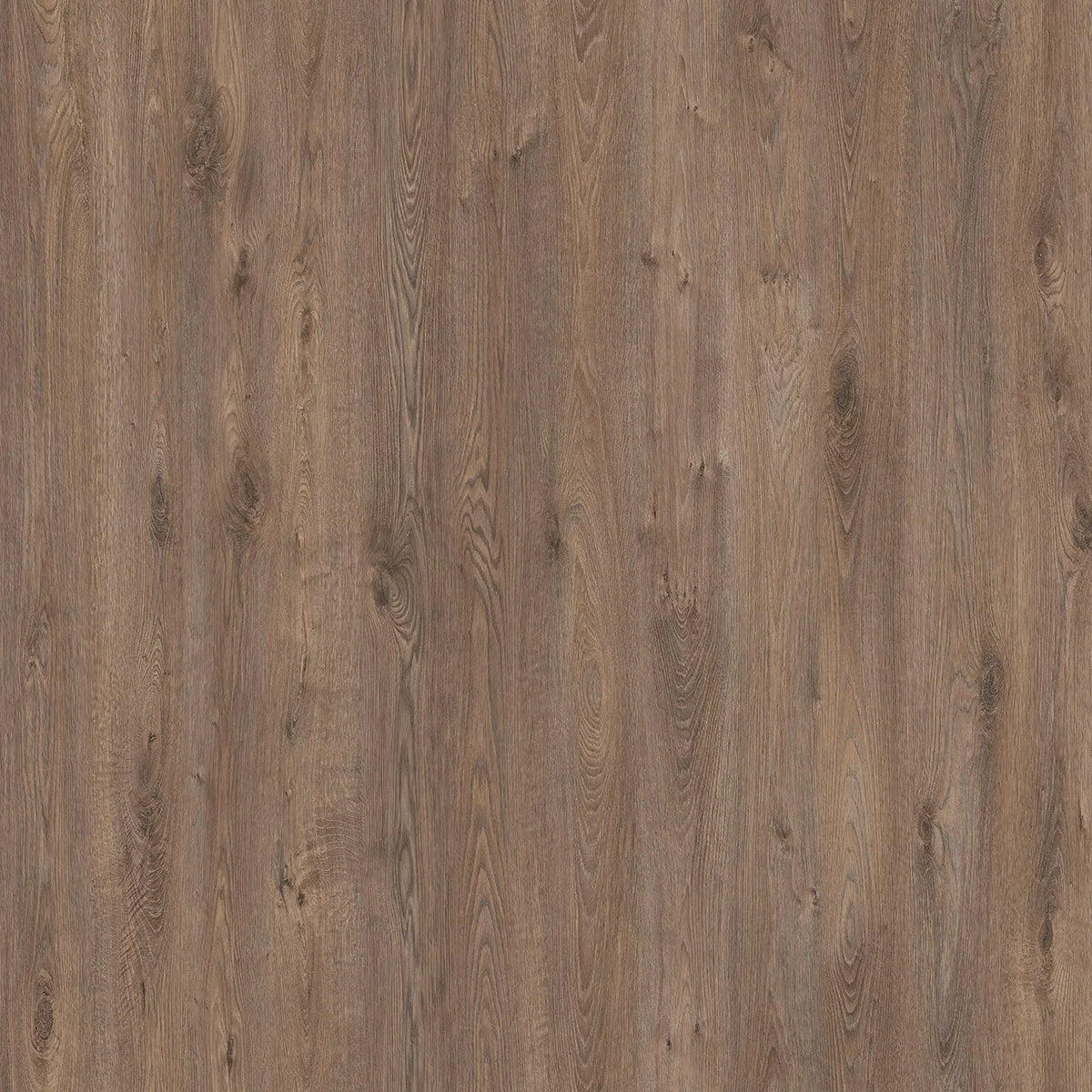 Mono Serra Seville 18.90 cm (7.4 in.) AC3 Laminate Floor