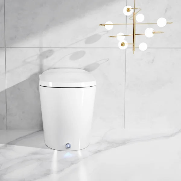 Ecoway Erie Integrated Smart Toilet With Built-in Bidet