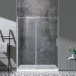 OVE Decors Kelsey 60 in. Sliding Glass Shower Door with Hardware