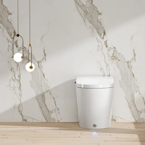 Ecoway Taheo Integrated Smart Toilet With Built-in Bidet