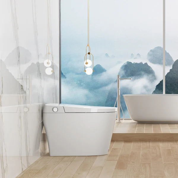 Ecoway Taheo Integrated Smart Toilet With Built-in Bidet