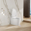 Ecoway Taheo Integrated Smart Toilet With Built-in Bidet