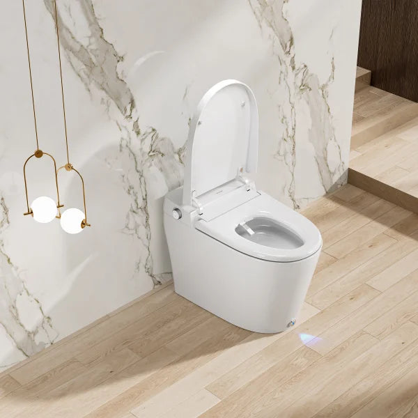 Ecoway Taheo Integrated Smart Toilet With Built-in Bidet