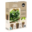 Herb Garden Seed Plug Pack - 4 kits
