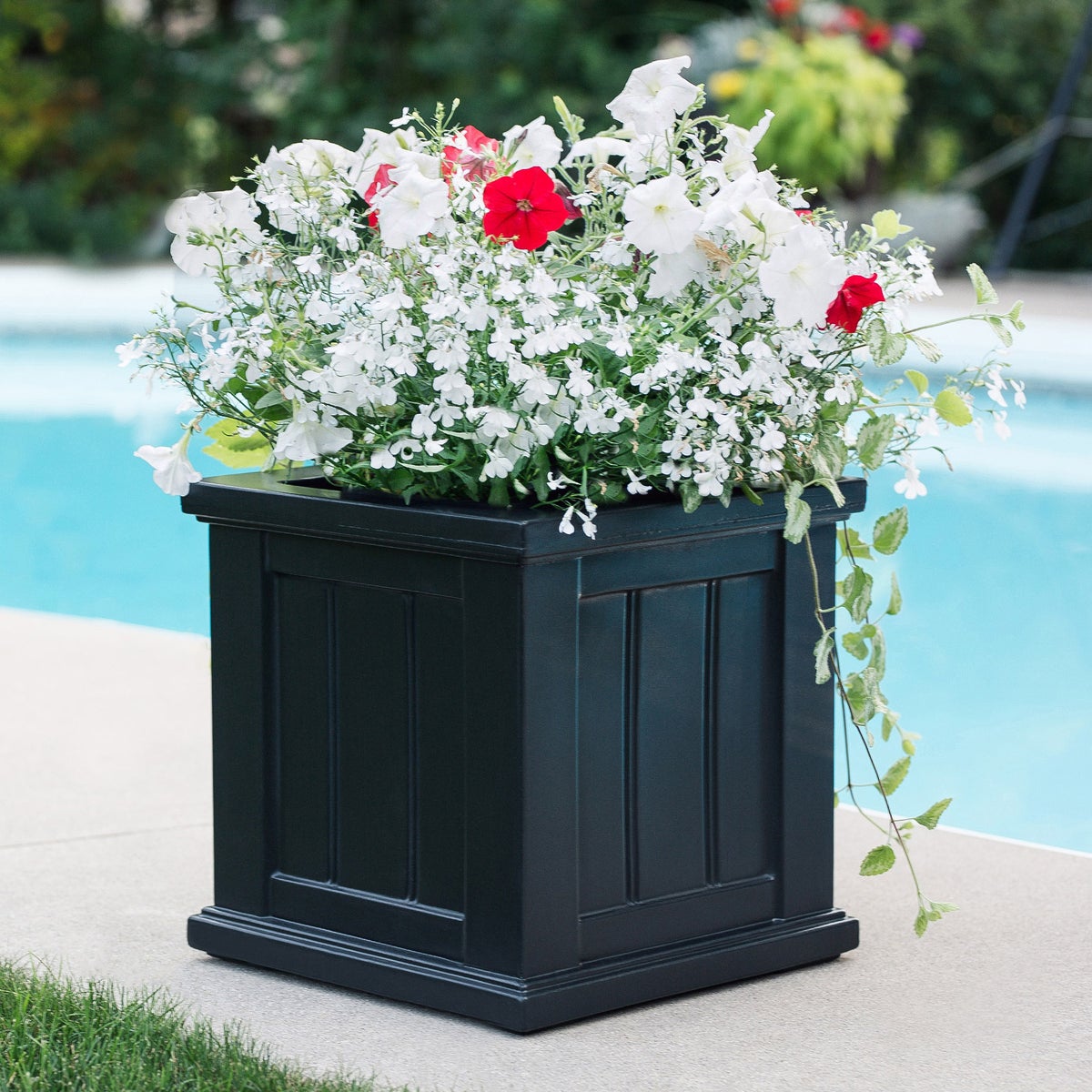 Cape Cod Square Self Watering Planter