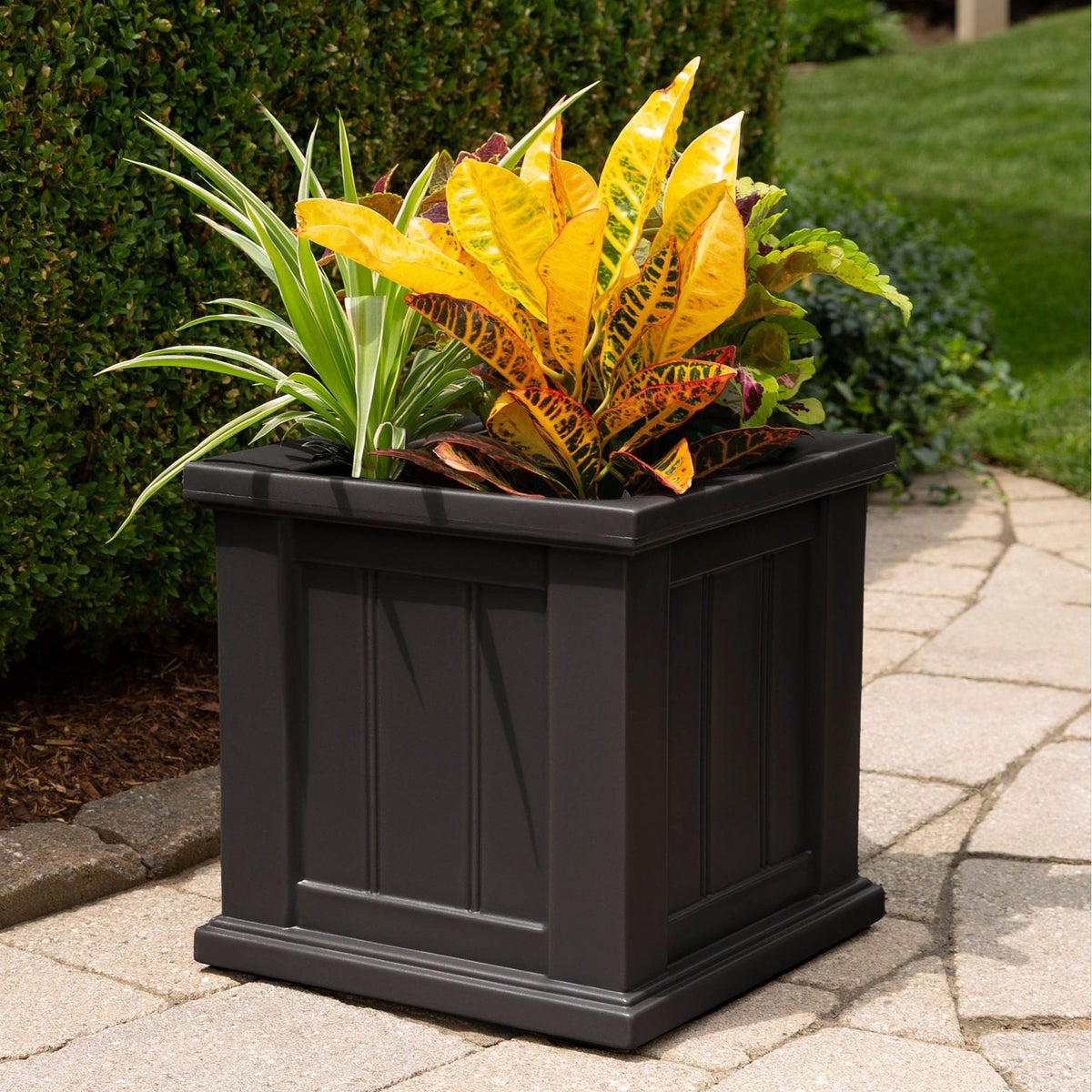 Cape Cod Square Self Watering Planter