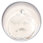 Catit Pixi Fountain with Stainless Steel Top and Catit Pixi Dish, White with 6 Filters