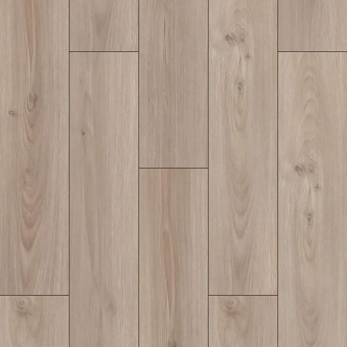 RainLok Oslo 17.14 cm (6.75 in.) AC5 Laminate Floor