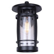 Canarm Wolcott Black Outdoor Wall Light with Seeded Glass Shade