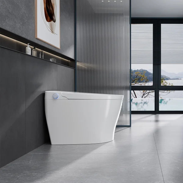 Ecoway Mono Integrated Smart Toilet With Built-in Bidet