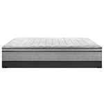 Sealy Essentials Cale Plush Mattress or Set