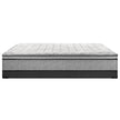 Sealy Essentials Cale Plush Mattress or Set