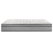 Sealy Essentials Cale Plush Mattress or Set