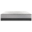 Sealy Essentials Tina Medium Firm Mattress or Set