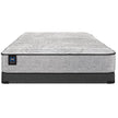 Sealy Essentials Tina Medium Firm Mattress or Set